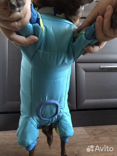 Зимний комбинезон для маленьких собак