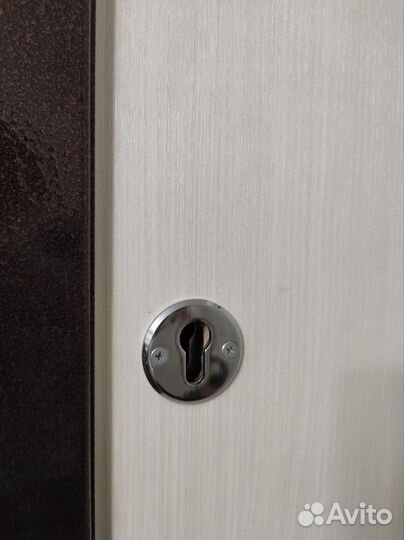 Новая входная металлическая дверь