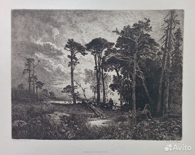 Пейзажи Офорт 19 век Природа Искусство Гравюра