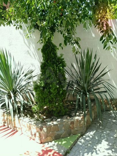 Комната 18 м² в 1-к., 1/2 эт.