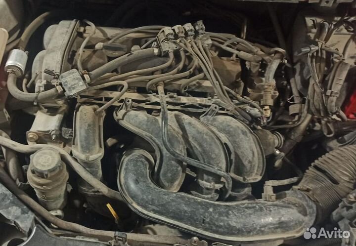 Двигатель ford focus 2 1.6 100 л с