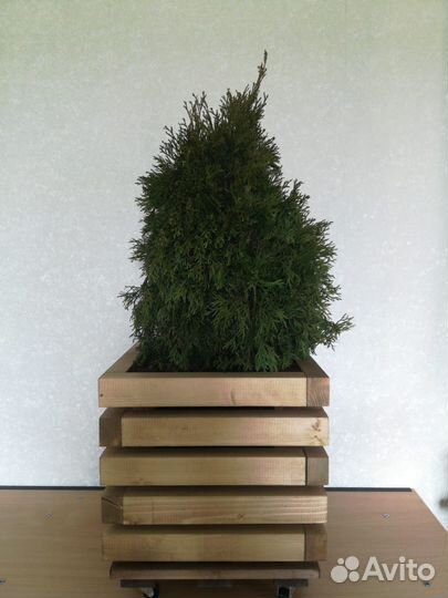 Кашпо для цветов