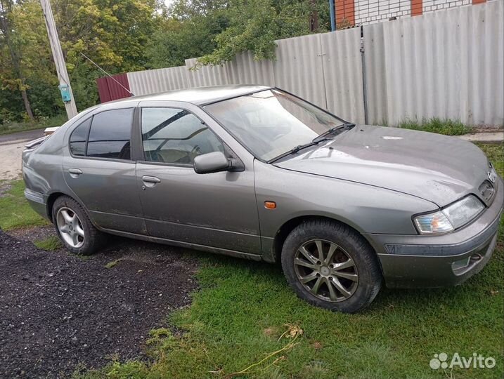 Nissan primera в разборе