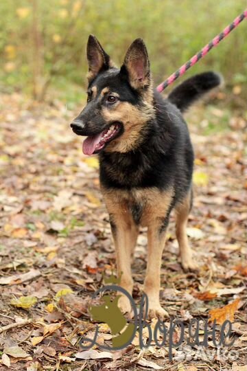 Прекрасная Фиджи