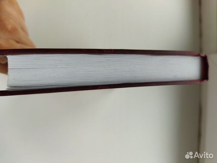 Книга Лариса Ренар Круг женской силы