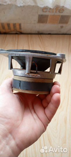 Динамик 10дг-34 (1982 г)