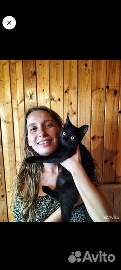 Передержка