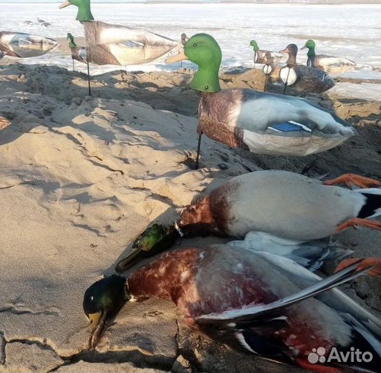 Чучела утки кряквы для охоты (флюгера)