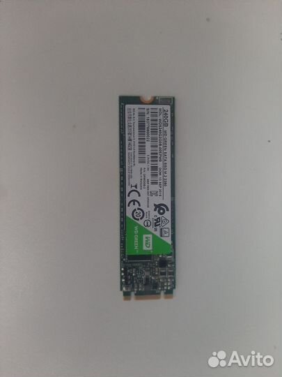 Ssd WD green 240 gb