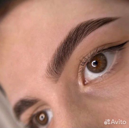 Курс Мастер-Бровист