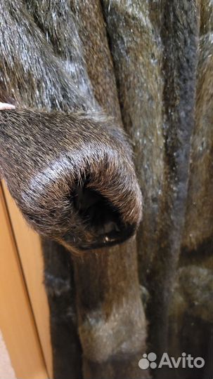 Шуба нутрия