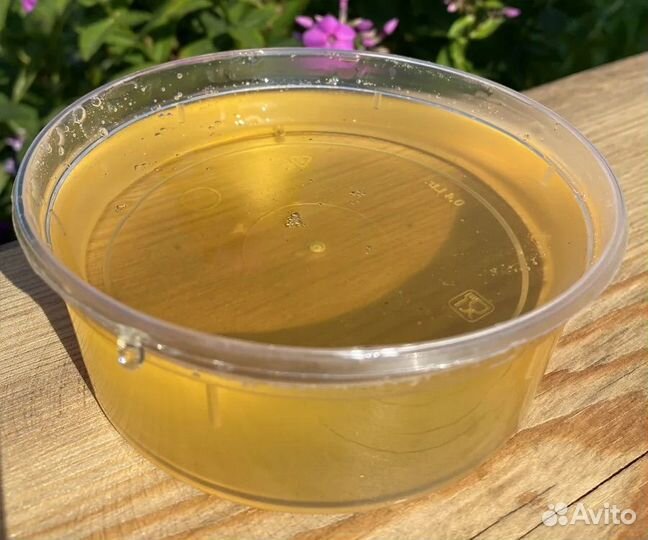 Мед акация 2023