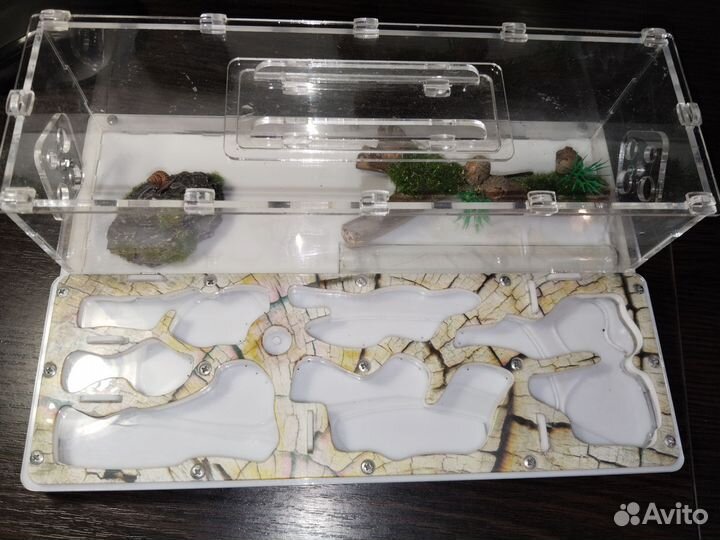 Формикарий муравьиная ферма