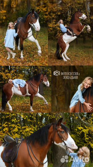 Семейный фотограф и видеограф