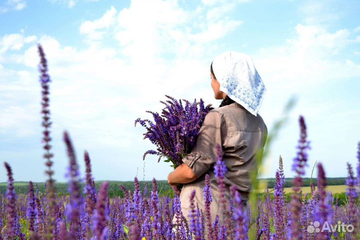 Травяной чай ассорти