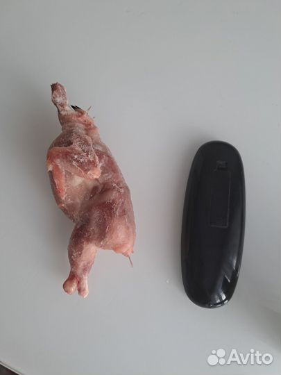 Перепелки тушки