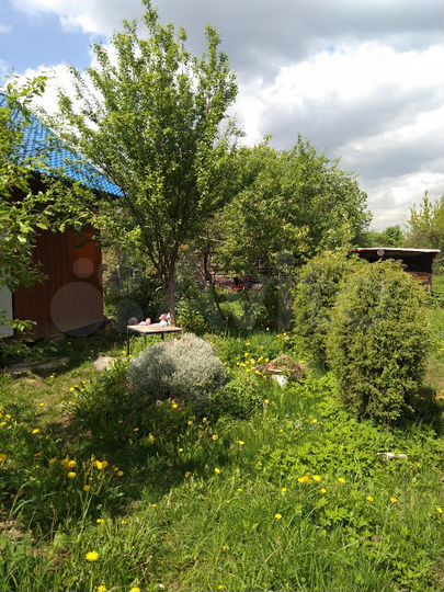 Дом 52 м² на участке 8 сот.