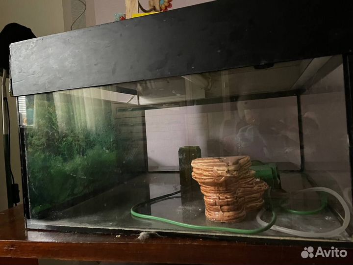 Аквариум для черепах