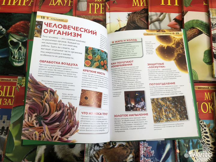 Энциклопедия росмэн