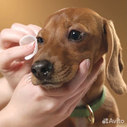 Салфетки для очищения зубов и глаз собак и кошек