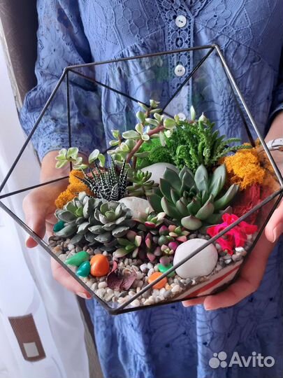 Флорариум. подарки. цветы