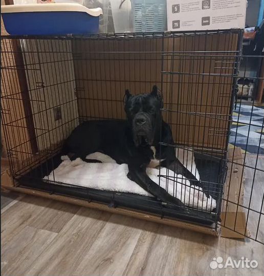 Клетка для собак большая