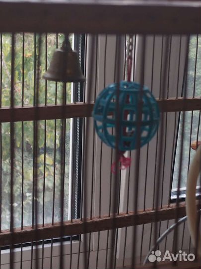Клетка для попугая