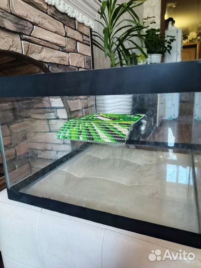 Аквариум(акватеррариум)