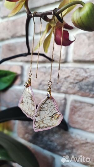 Серьги из настоящих крыльев бабочек