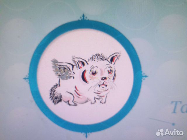 Кастрация и стерилизации кошек и собак