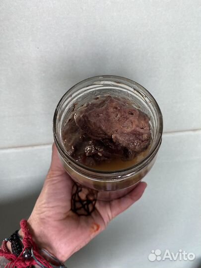 Вкусняшки для собак