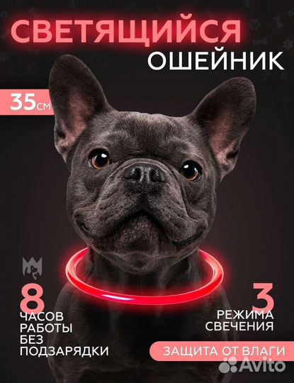 Ошейник светящийся для собак, размер S, новый