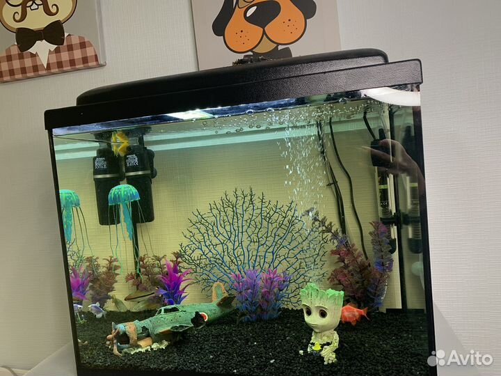 Аквариум 60л с рыбками и комплектом оборудования