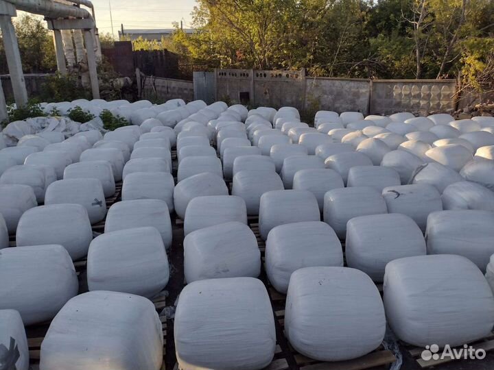 Пивная дробина ферментированная(консервированная)