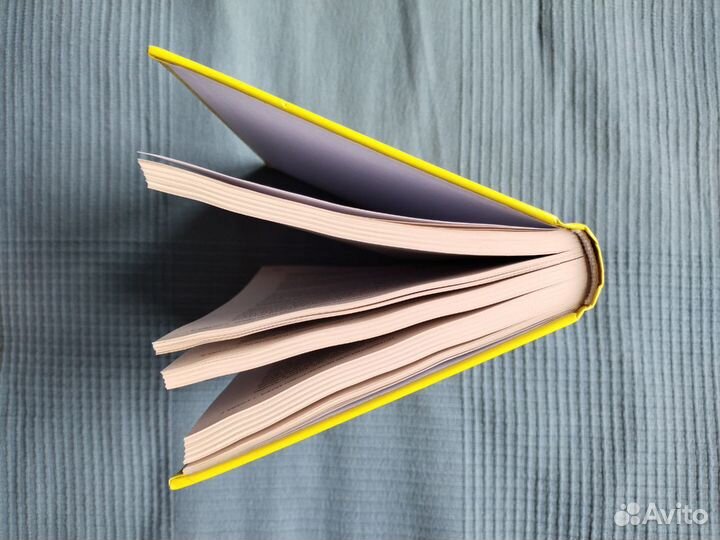 Мозг, исцеляющий себя. Реальные истории людей, кот