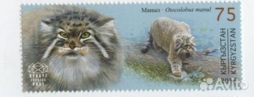 Марки Фауна не гашеные