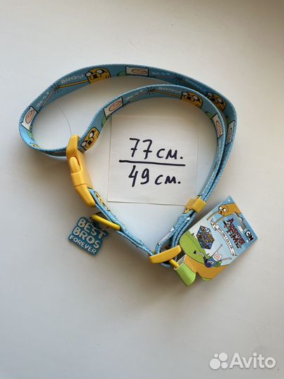 Поводок и ошейник