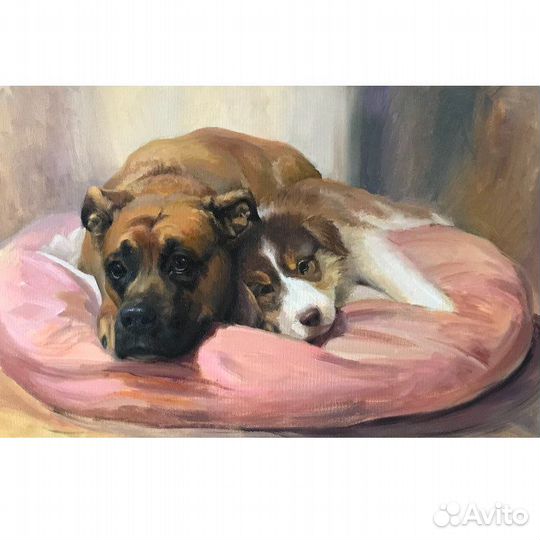 Портрет питомца по фото