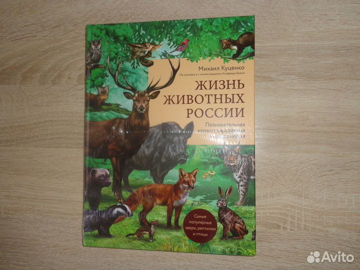 Жизнь животных России. Энциклопедия