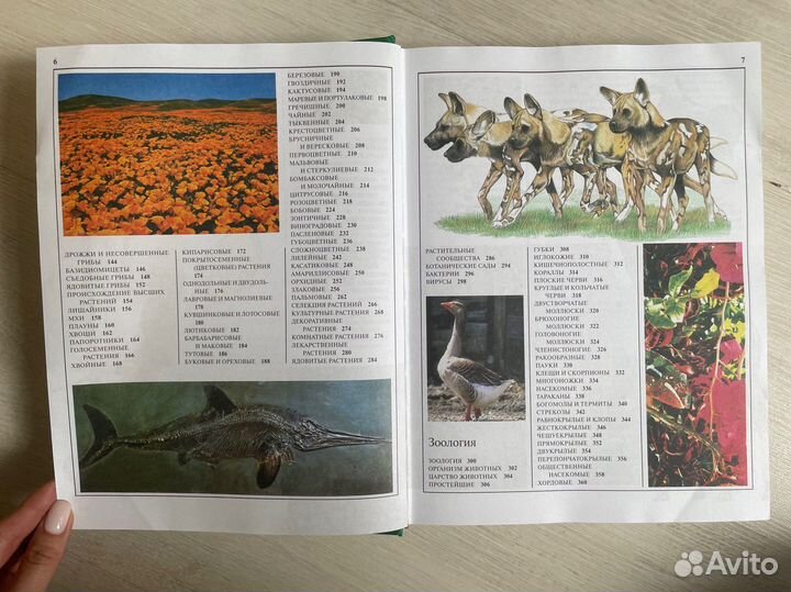 Новая школьная энциклопедия. Биология