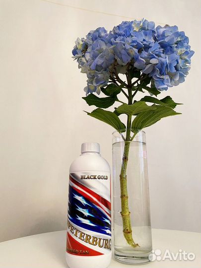 Моментальный загар (м. Кантемировская)