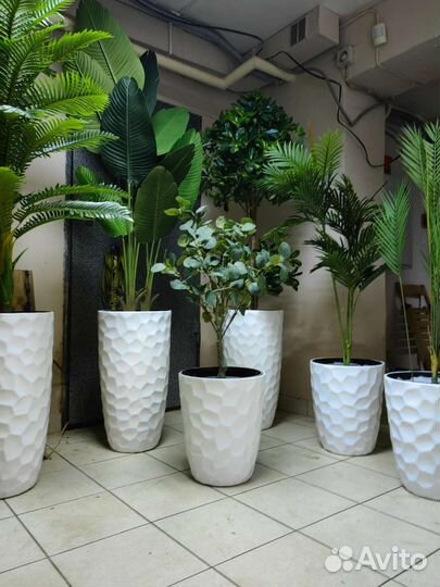 Фикус, пальма, бамбук, реалистичные деревья, от