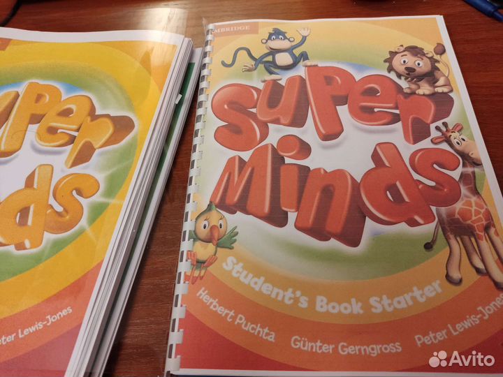 Super Minds