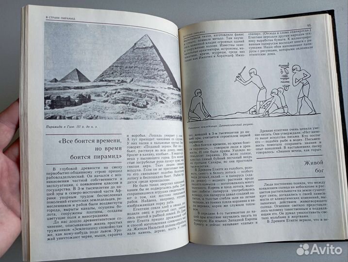 Тайны Прометея. Шахнович М