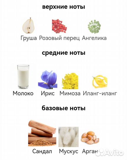 Attar collection fleur de santal 10 ml