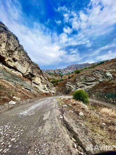 Гид экскурсовод