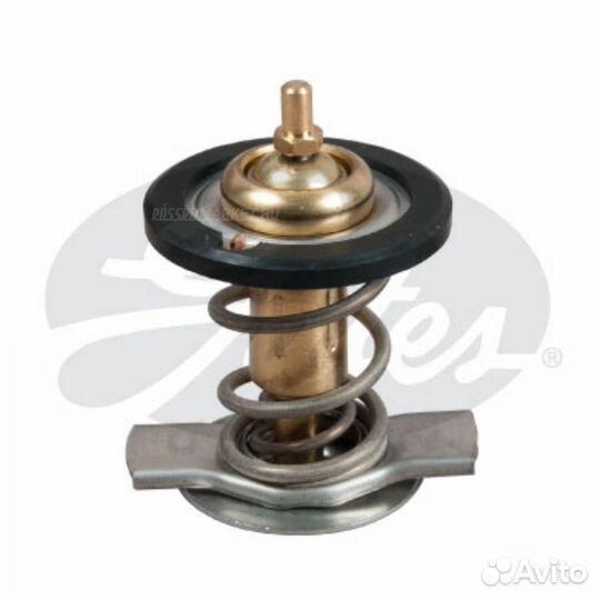 Gates TH50392G1 Термостат