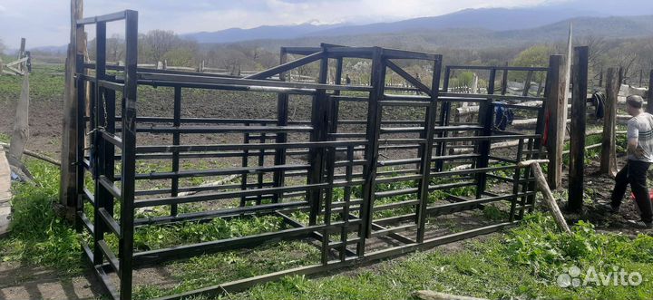 Раскол станок для обработки крс и Лошадей