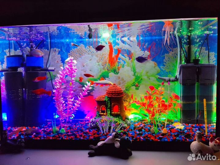 Аквариум