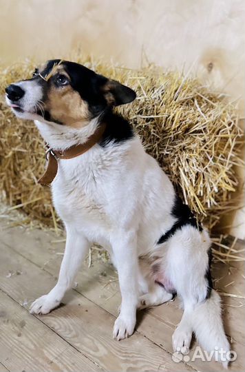 Молодой парень в добрые руки